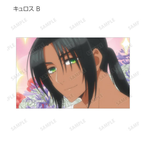 『ずたぼろ令嬢は姉の元婚約者に溺愛される』トレーディング場面写イラストカード(単位/BOX)